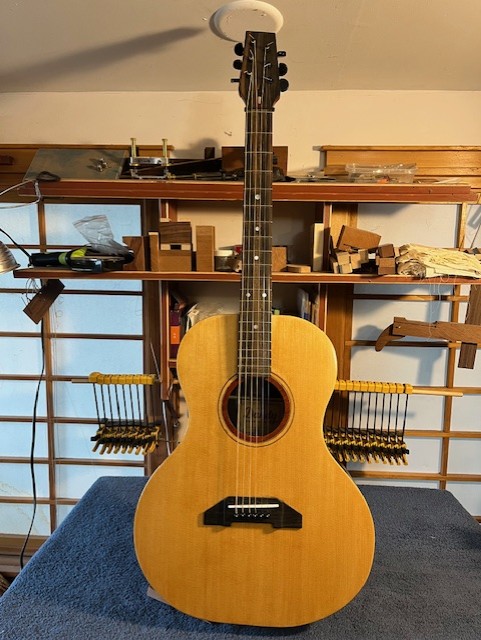 Dandy Guitar,D-37