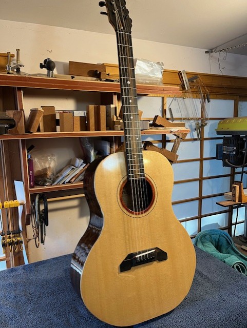 Dandy Guitar,D-41